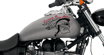 Image of Raging Native Gas Tank Decals