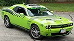 Picture of 2015 Dodge Challenger Main Hood Decal Installed By Customer